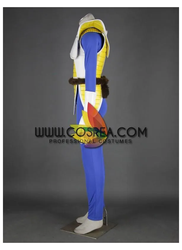 Dragon Ball Vegeta Battle Cosplay Costume