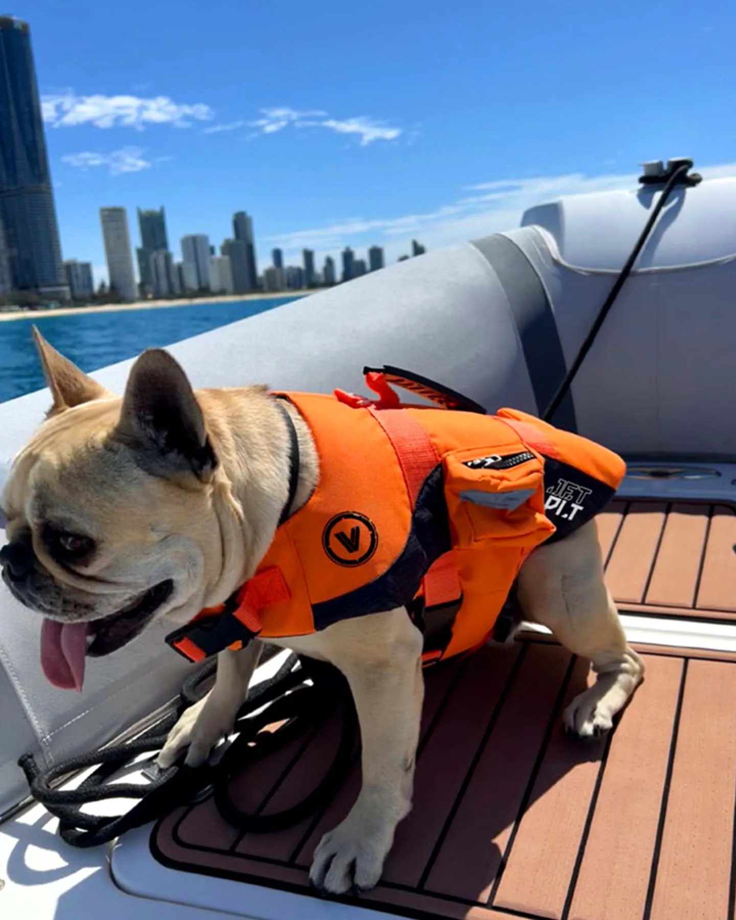 Jetpilot Venture Dog Pfd - Orange - 2024